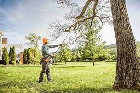 Best Arborist Consultation Services  in Mount Ivy, NY